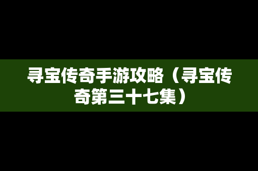 寻宝传奇手游攻略（寻宝传奇第三十七集）