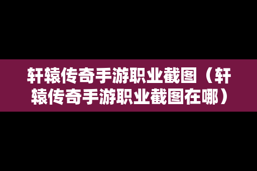 轩辕传奇手游职业截图（轩辕传奇手游职业截图在哪）