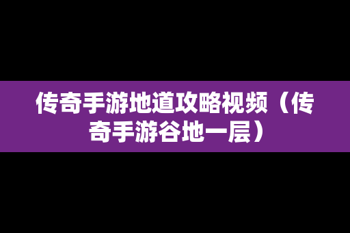 传奇手游地道攻略视频（传奇手游谷地一层）
