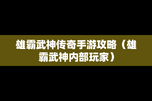 雄霸武神传奇手游攻略（雄霸武神内部玩家）