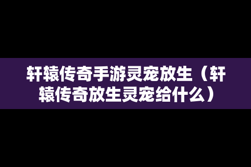 轩辕传奇手游灵宠放生（轩辕传奇放生灵宠给什么）
