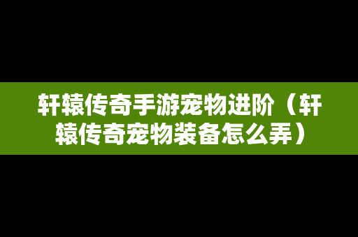 轩辕传奇手游宠物进阶（轩辕传奇宠物装备怎么弄）