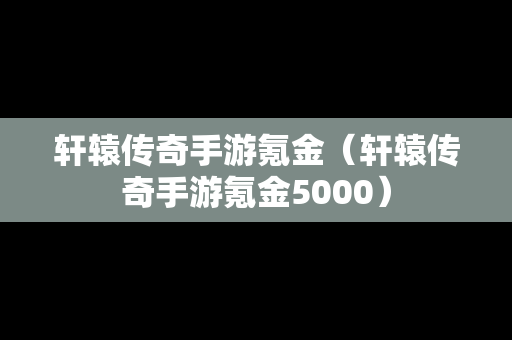 轩辕传奇手游氪金（轩辕传奇手游氪金5000）