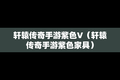 轩辕传奇手游紫色V（轩辕传奇手游紫色家具）