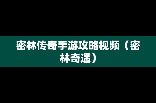 密林传奇手游攻略视频（密林奇遇）