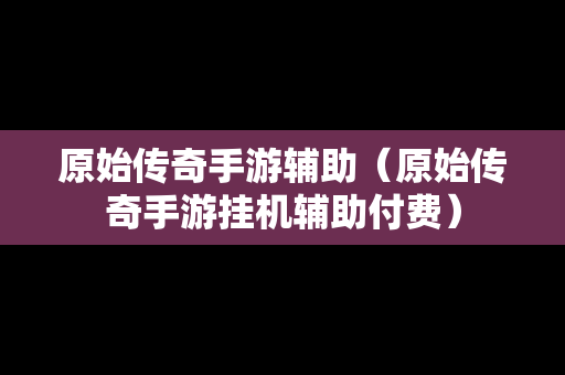 原始传奇手游辅助（原始传奇手游挂机辅助付费）