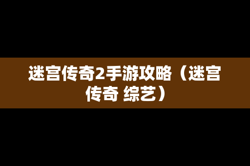 迷宫传奇2手游攻略（迷宫传奇 综艺）