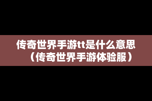 传奇世界手游tt是什么意思（传奇世界手游体验服）