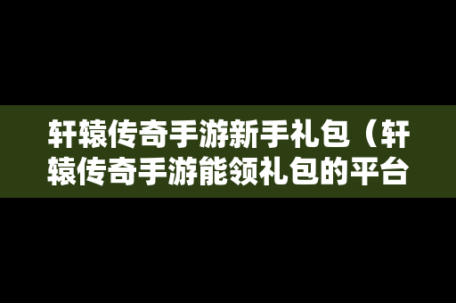 轩辕传奇手游新手礼包（轩辕传奇手游能领礼包的平台）