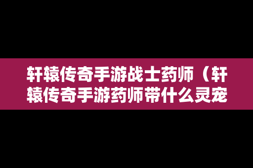 轩辕传奇手游战士药师（轩辕传奇手游药师带什么灵宠）