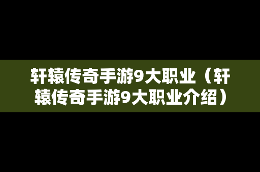 轩辕传奇手游9大职业（轩辕传奇手游9大职业介绍）