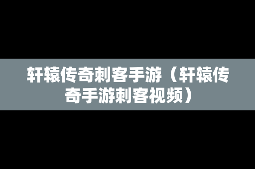 轩辕传奇刺客手游（轩辕传奇手游刺客视频）