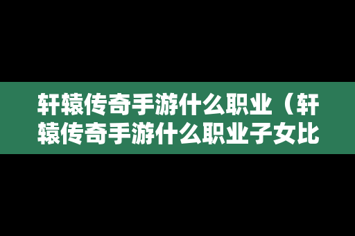 轩辕传奇手游什么职业（轩辕传奇手游什么职业子女比较适合刺客）