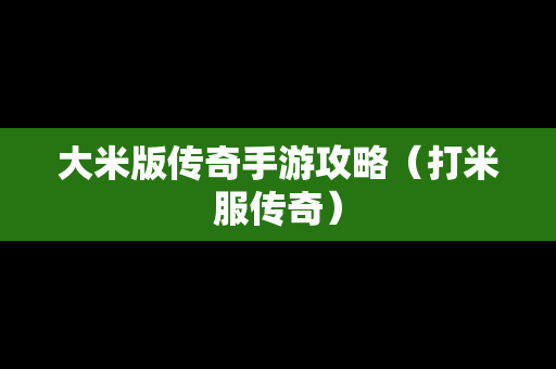 大米版传奇手游攻略（打米服传奇）