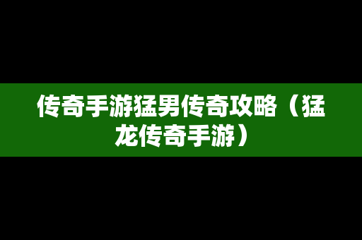 传奇手游**传奇攻略（猛龙传奇手游）